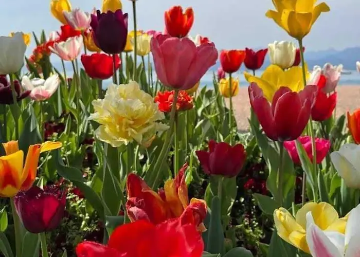 Dimora Gu -terrazza, Vista Lago, 100m Da Apartamento *